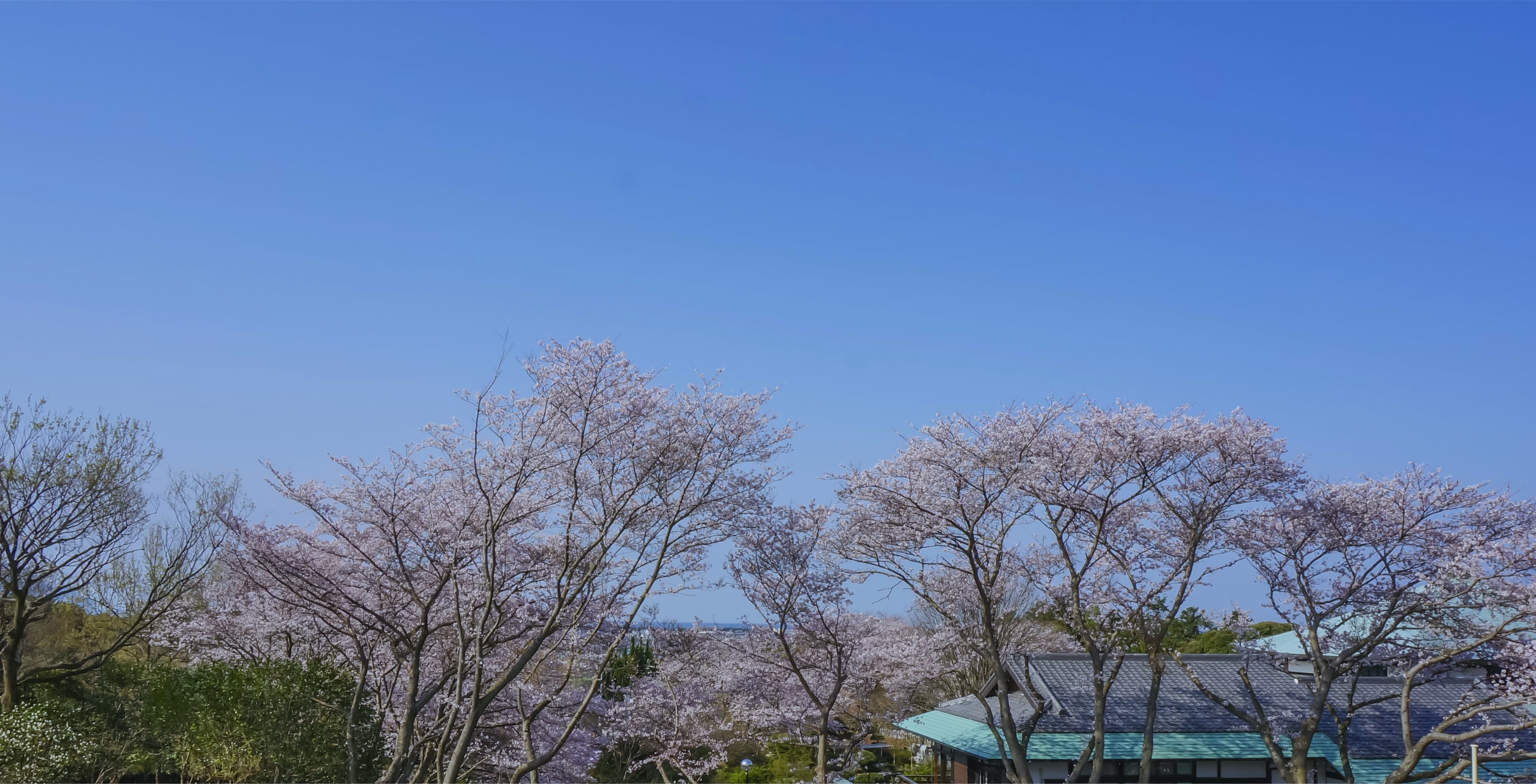 さとやま遊人郷